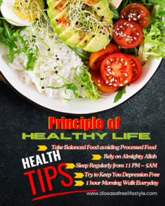 Principle of Healthy Life