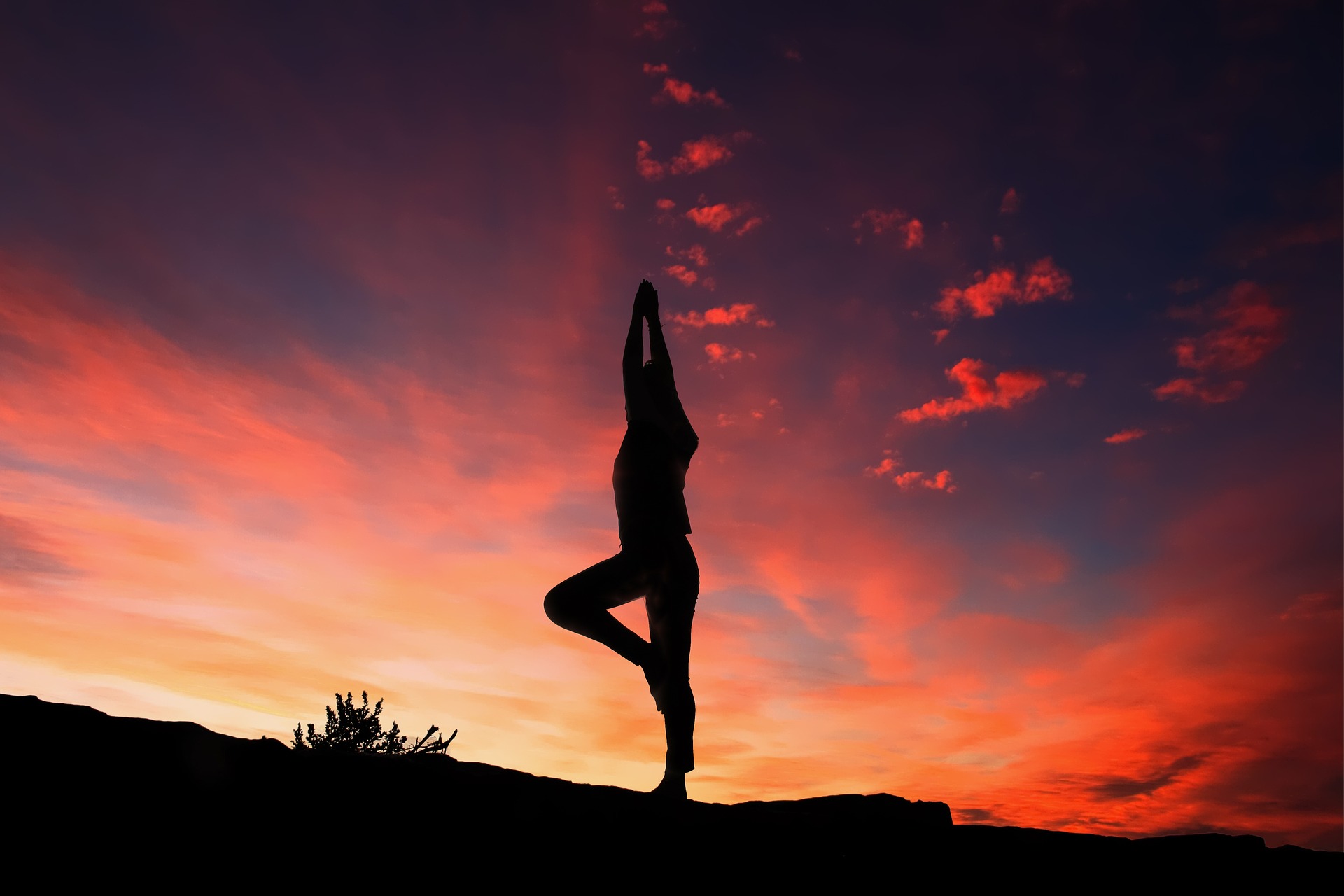 Yoga A Gateway to a Disease-Free Lifestyle