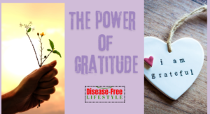 The Power of Gratitude